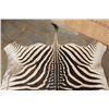 Image 4 : ZEBRA Hide or ZEBRA Hide Rug