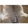 Image 5 : ZEBRA Hide or ZEBRA Hide Rug