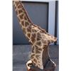 Image 10 : GIRAFFE Pedestal Mount