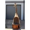 Image 11 : GIRAFFE Pedestal Mount