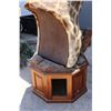 Image 13 : GIRAFFE Pedestal Mount