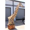 Image 4 : GIRAFFE Pedestal Mount