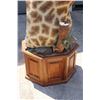 Image 7 : GIRAFFE Pedestal Mount