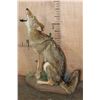 Image 2 : Life-sized "Howling" COYOTE on a Decorative Base