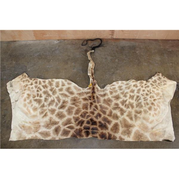GIRAFFE Back Hide