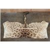 Image 2 : GIRAFFE Back Hide