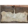 Image 6 : GIRAFFE Back Hide