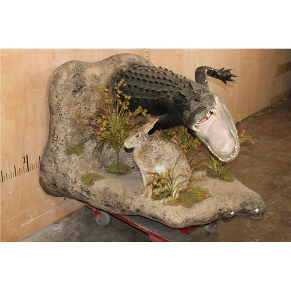 Half-body ALLIGATOR with a Life-sized RABBIT on a Wall Hanging Base
