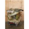 Image 2 : Half-body ALLIGATOR with a Life-sized RABBIT on a Wall Hanging Base