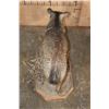 Image 6 : Life-sized JAVELINA on Natural Habitat Base