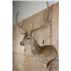 Image 4 : XXL AXIS Wall Pedestal in "Velvet"
