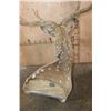 Image 7 : XXL AXIS Wall Pedestal in "Velvet"