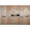 Image 1 : Huge XXL Set of TEXAS LONGHORNS with Cowhide and Leather Detail