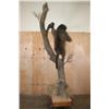 Image 7 : Life-sized BABOON with an OSTRICH Egg on a Decorative Base