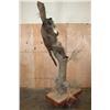 Image 8 : Life-sized BABOON with an OSTRICH Egg on a Decorative Base