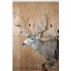 Image 4 : Double MULE DEER Pedestal Mount with Wheels
