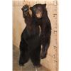 Image 1 : Life-sized "Waving" BLACK BEAR on Bolts with No Base