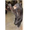 Image 3 : Life-sized "Waving" BLACK BEAR on Bolts with No Base