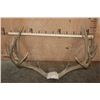 Image 1 : XXL 22-Point MULE DEER Antler Rack on a Skull Cap