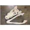 Image 7 : XXL CROCODILE Skull with No Teeth