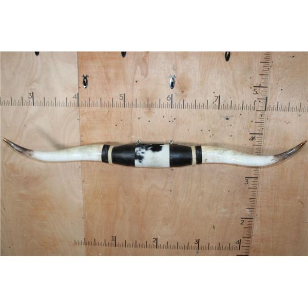 Big Set of Mounted Polished LONGHORNS with Cowhide and Leather Accents