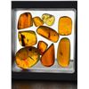 Image 4 : 10 Pieces of Authentic Myanmar AMBER Fossil Specimens with Insect Inclusions