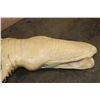 Image 11 : *Real Skin* XL ALLIGATOR Billiard Light