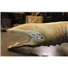 Image 13 : *Real Skin* XL ALLIGATOR Billiard Light