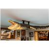 Image 1 : *Real Skin* XL ALLIGATOR Billiard Light