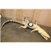 Image 6 : *Real Skin* XL ALLIGATOR Billiard Light