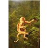 Image 3 : Don Andres Designers Hand-painted 4 Panel Folding Room Divider or Screen