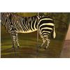 Image 7 : Don Andres Designers Hand-painted 4 Panel Folding Room Divider or Screen