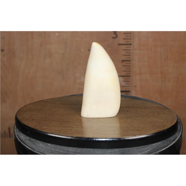 Pre 1972 XXL SPERM WHALE Tooth with a Cut Base on a Wood Plaque Display Stand