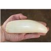 Image 1 : Pre 1972 XXL SPERM WHALE TOOTH