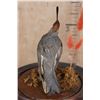 Image 5 : CALIFORNIA QUAIL in a Glass Cloche Display