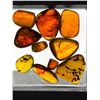 Image 1 : 10 Pieces of Authentic Myanmar AMBER Fossil Specimens with Insect Inclusions
