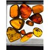 Image 2 : 10 Pieces of Authentic Myanmar AMBER Fossil Specimens with Insect Inclusions