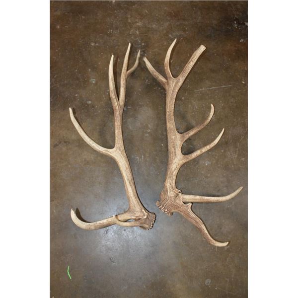 Massive Set of 17-Point ELK Sheds