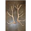 Image 1 : Massive Set of 17-Point ELK Sheds
