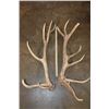Image 2 : Massive Set of 17-Point ELK Sheds