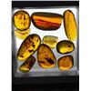Image 1 : 10 Pieces of Authentic Myanmar AMBER Fossil Specimens with Insect Inclusions