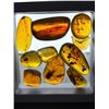 Image 2 : 10 Pieces of Authentic Myanmar AMBER Fossil Specimens with Insect Inclusions