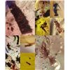 Image 3 : 10 Pieces of Authentic Myanmar AMBER Fossil Specimens with Insect Inclusions