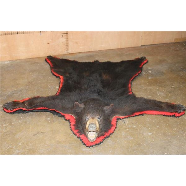 Double Felted BLACK BEAR Rug with the Head, Paws, and All its Claws