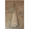 Image 4 : XXL SWORDFISH Rostrum