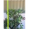 Image 11 : Metal Floor Lamp With Three Cage Shades And Faux Plant