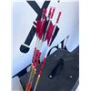 Image 13 : Archery Arrow Tubes, Arrows, and Bulldog Pug Target Bundle