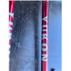 Image 18 : Yukon Charlie's Snowshoe Sets With Poles and Bags, 2 Pairs