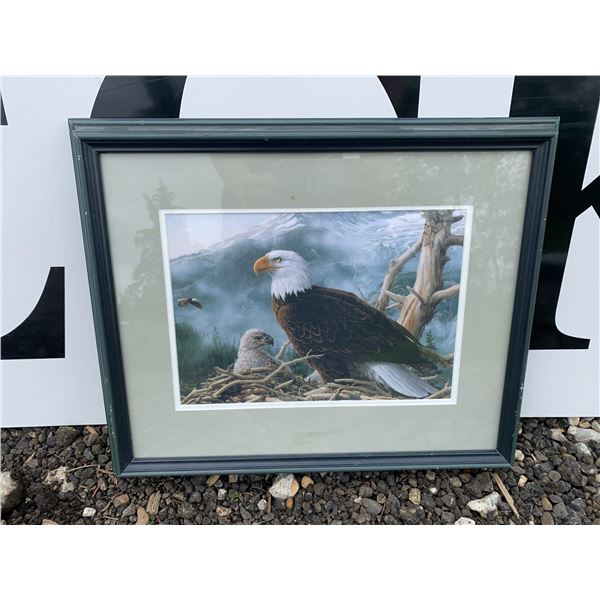 Framed Eagle and Chick Wildlife Print, 14x17 Inches