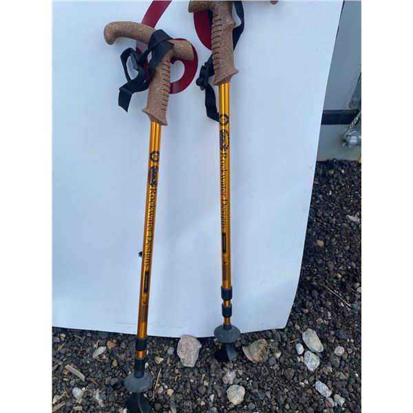 Rockwater Designs Touring Trekking Poles with Anti-Shock System